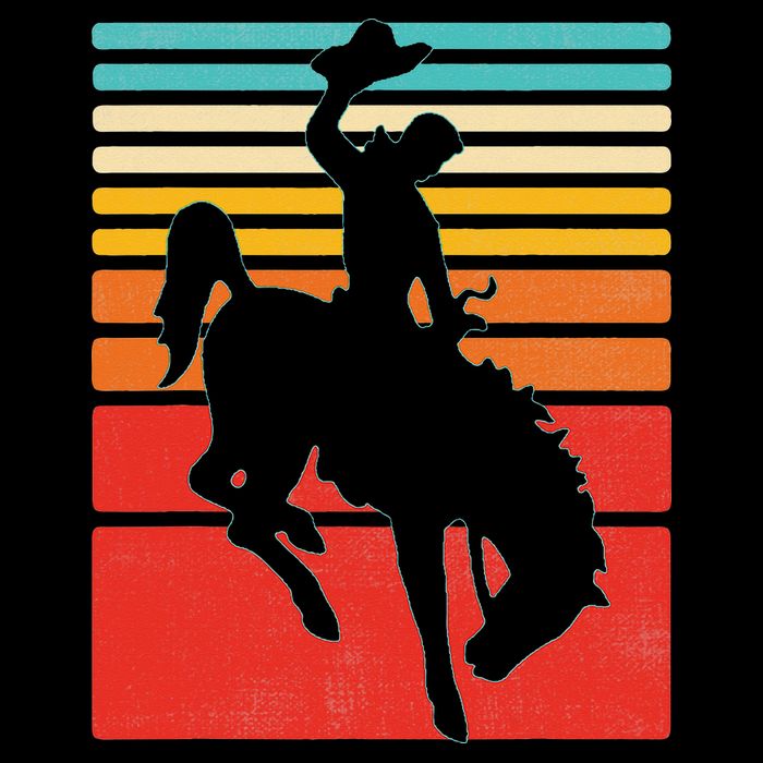 Rodeo Bucking Bronco Horse Retro Style Wool Snapback Cap
