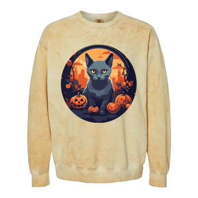 Russian Blue Cat Halloween Pumpkin Love Cats Colorblast Crewneck Sweatshirt