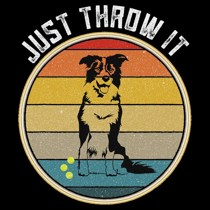 Retro Border Collie Lover Just Throw It Border Collie Mom Kids Hoodie