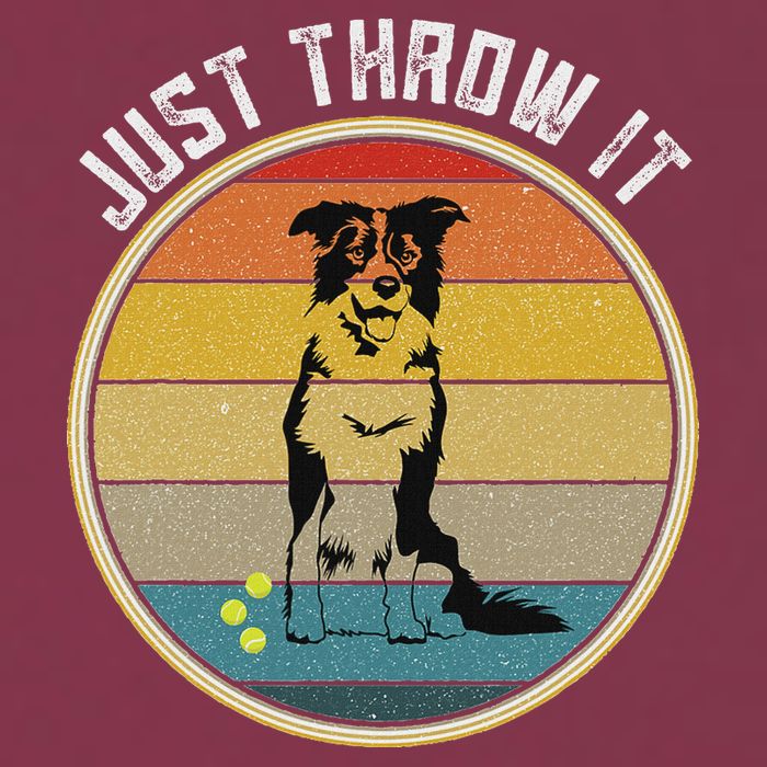 Retro Border Collie Lover Just Throw It Border Collie Mom 16oz Travel Tumbler