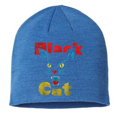 Retro Black Cat Retro Fireworks Vintage Halloween Sustainable Beanie