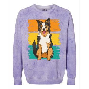 Retro Border Collie Colorblast Crewneck Sweatshirt