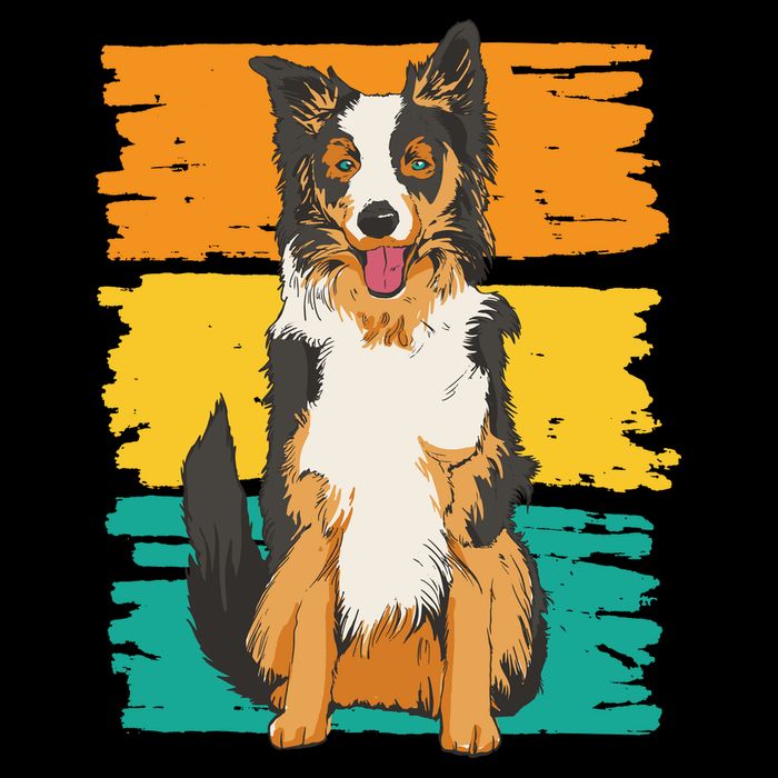 Retro Border Collie 16 in Basic Backpack