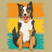 Retro Border Collie Button