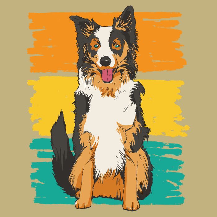Retro Border Collie Sustainable Beanie