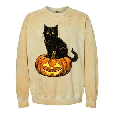 Retro Black Cat Halloween Pumpkin Costume Colorblast Crewneck Sweatshirt