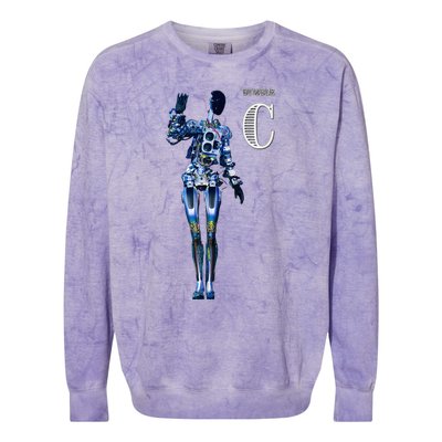 Robot Bumble C Colorblast Crewneck Sweatshirt