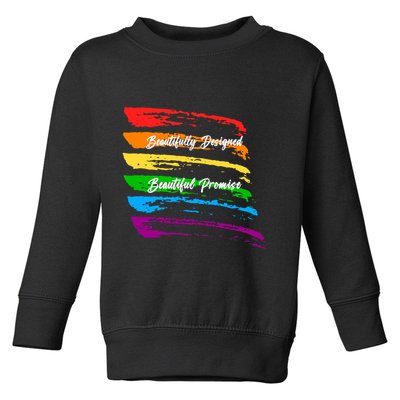 Rainbows Beautifully Designed Beautiful Promise Toddler Sweatshirt