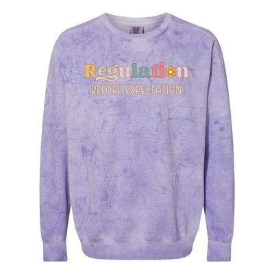 Regulation Before Expectation Special Education Teacher Gift Colorblast Crewneck Sweatshirt