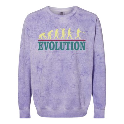 Retro Baseball Evolution For Baseball Players Gift Colorblast Crewneck Sweatshirt