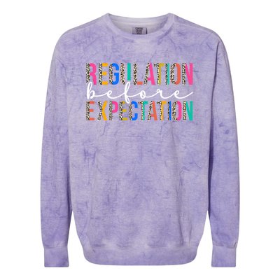 Regulation Before Expectation Autism Awareness Acceptance Gift Colorblast Crewneck Sweatshirt