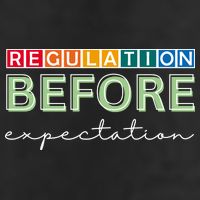 Regulation Before Expectation Autism Awareness Quote Adult Drive Performance Visor