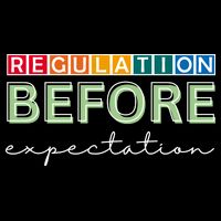 Regulation Before Expectation Autism Awareness Quote Flatbill Hat