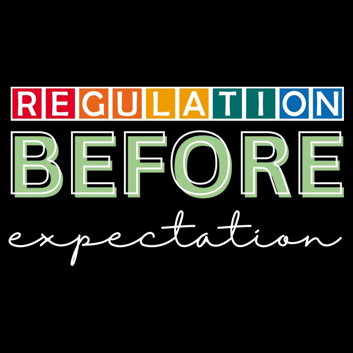 Regulation Before Expectation Autism Awareness Quote Flatbill Hat