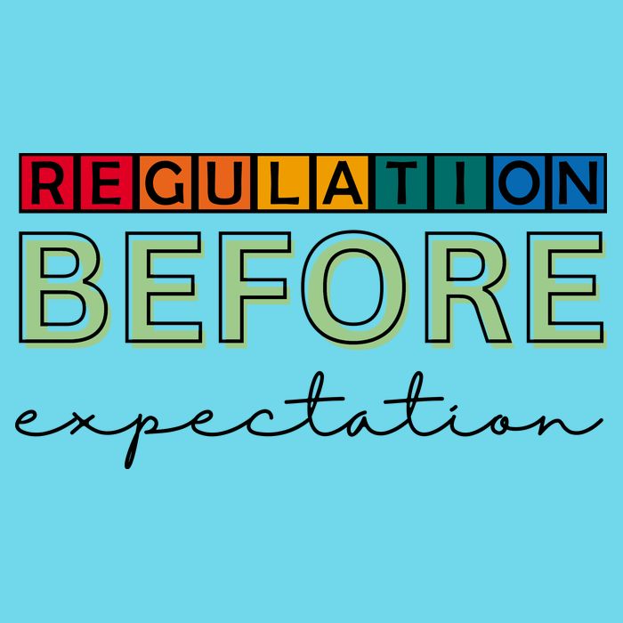 Regulation Before Expectation Autism Awareness Quote Button