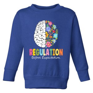 Regulation Before Expectation Cute Gift Toddler Sweatshirt