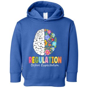 Regulation Before Expectation Cute Gift Toddler Hoodie