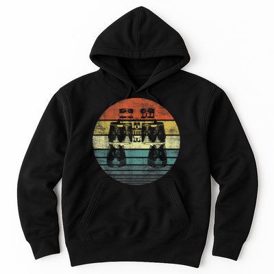 Retro Binoculars Funny Birdwatching Birding Birder Hoodie
