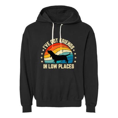 Retro Basset Hound IVe Got Friends In Low Places Garment-Dyed Fleece Hoodie