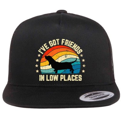 Retro Basset Hound IVe Got Friends In Low Places Flatbill Hat