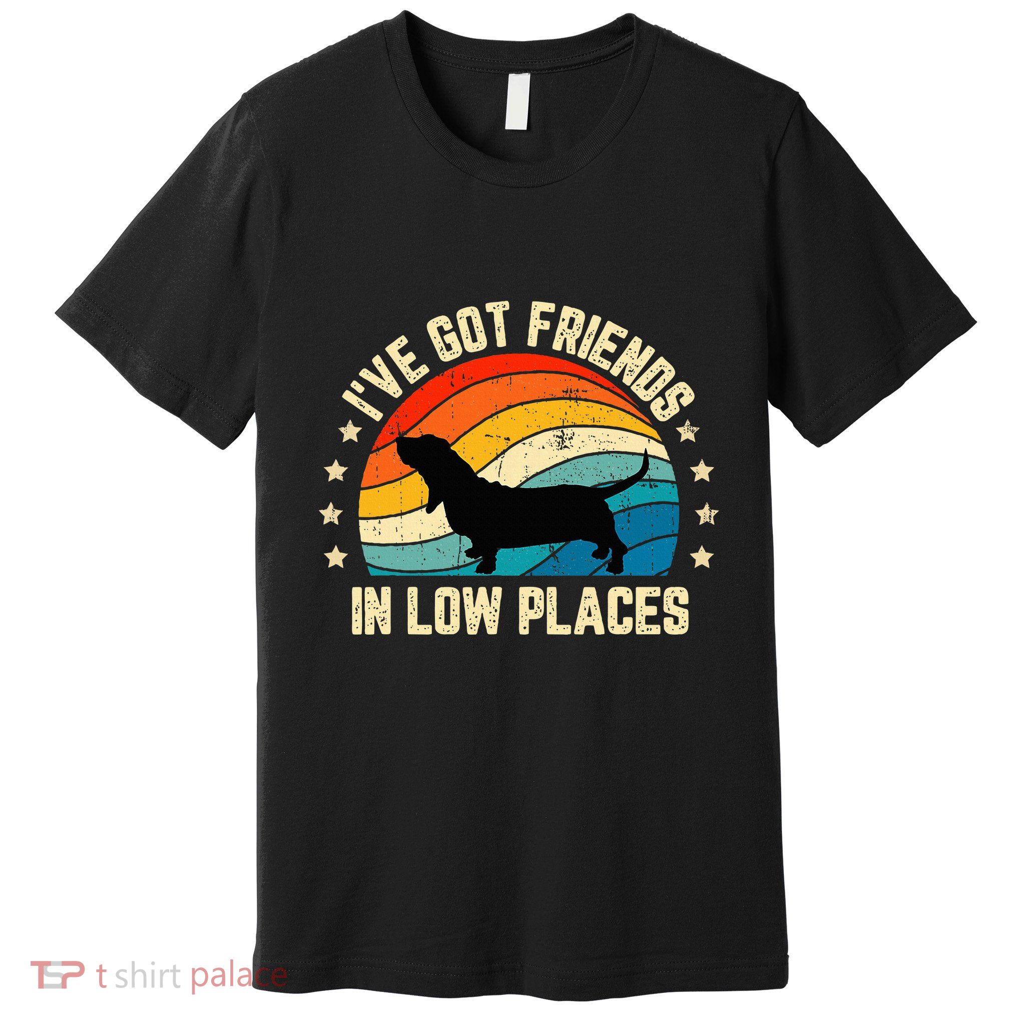 Retro Basset Hound IVe Got Friends In Low Places Premium T-Shirt
