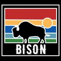 Retro Bison Logo T-Shirt