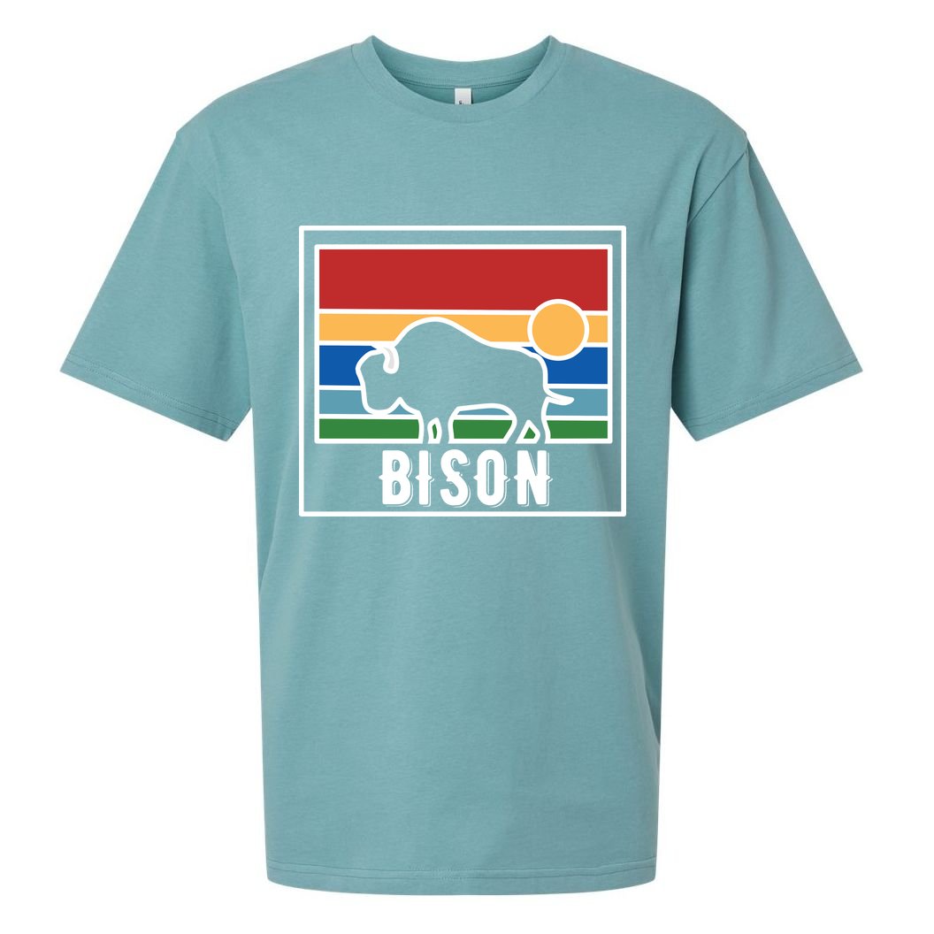 Retro Bison Logo Sueded Cloud Jersey T-Shirt