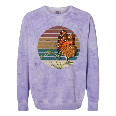 Retro Butterfly Lover Monarch Entomolgist Vintage Milkweed Colorblast Crewneck Sweatshirt