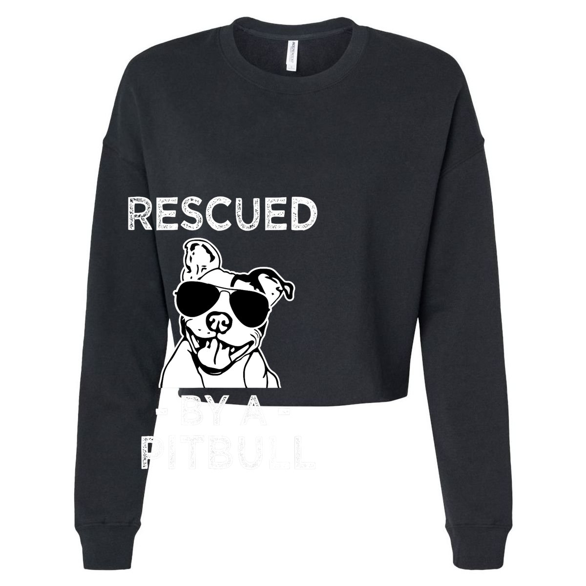 Rescued by my Pitbull Dog funny saying 15oz Campfire Ceramic Mug