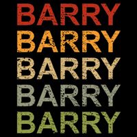 Retro Barry Personalized Barry Name Boy Man Barry Button