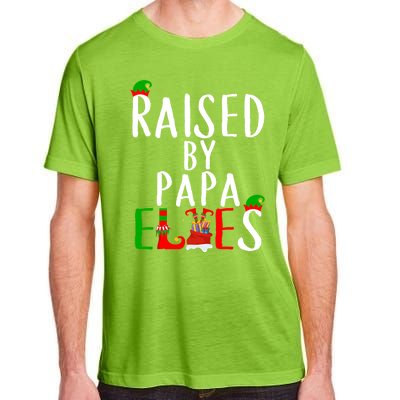 Raised By Papa Matching Group Xmas Gift Adult ChromaSoft Performance T-Shirt