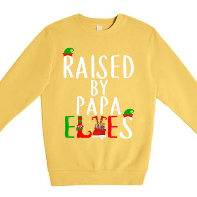 Raised By Papa Matching Group Xmas Gift Premium Crewneck Sweatshirt