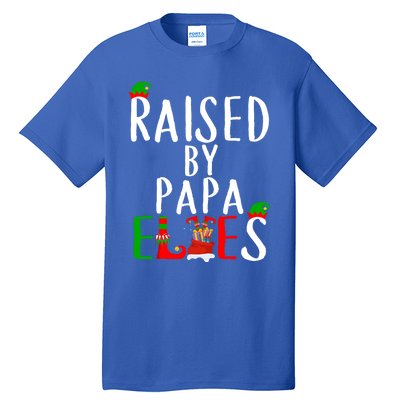 Raised By Papa Matching Group Xmas Gift Tall T-Shirt