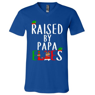 Raised By Papa Matching Group Xmas Gift V-Neck T-Shirt