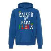 Raised By Papa Matching Group Xmas Gift Premium Hoodie