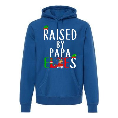 Raised By Papa Matching Group Xmas Gift Premium Hoodie