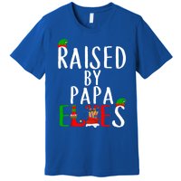 Raised By Papa Matching Group Xmas Gift Premium T-Shirt