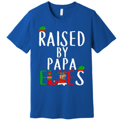 Raised By Papa Matching Group Xmas Gift Premium T-Shirt