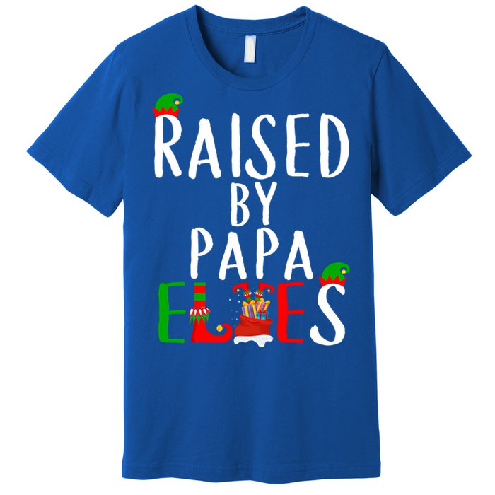 Raised By Papa Matching Group Xmas Gift Premium T-Shirt