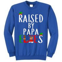 Raised By Papa Matching Group Xmas Gift Tall Sweatshirt