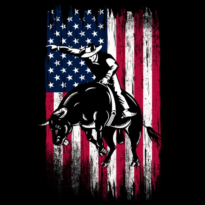 Rodeo Bull Rider Patriotic American Flag Cowboys Sweatshirt