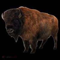 Realistic Bison Bag