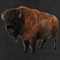 Realistic Bison 25L Jumbo Tote