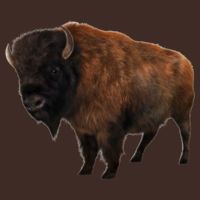 Realistic Bison Poster