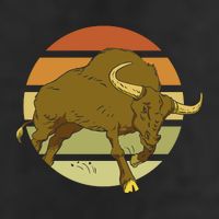 Retro Bull Sunset 25L Jumbo Tote