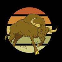 Retro Bull Sunset Zip Tote Bag