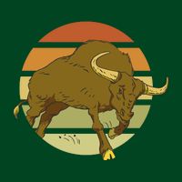 Retro Bull Sunset T-Shirt