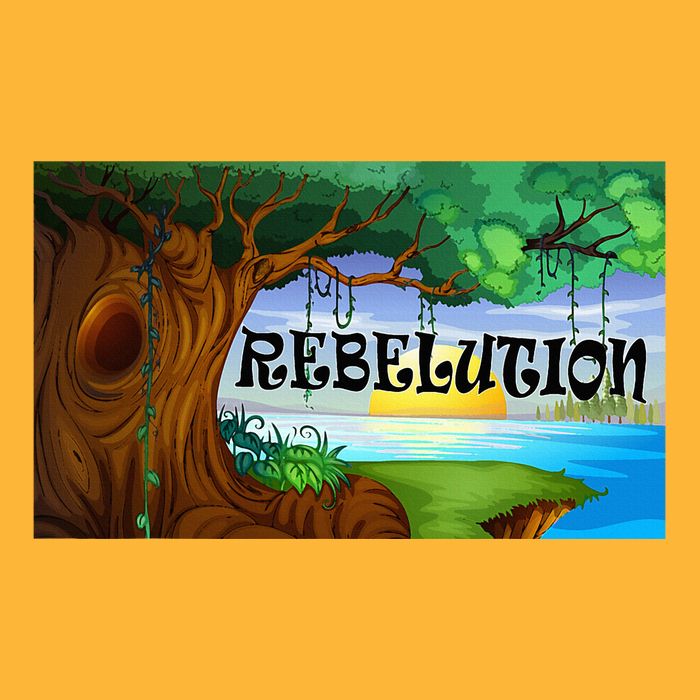 Rebelution Bright Side Of Life Sustainable Knit Beanie