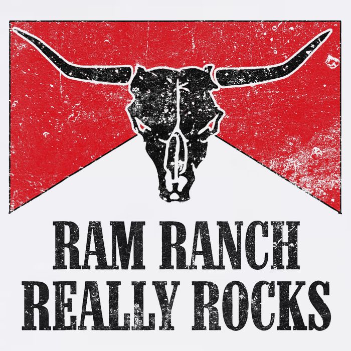Retro Bull Skull Western Life Country Ram Ranch Rockin' Vibes Mesh Reversible Basketball Jersey Tank