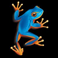 Realistic Blue Tree Frog 7-Panel Snapback Hat